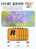 Pastilhas de Fragrância para Carro, Cartões de Aromaterapia, Produtos de Celebridades, Pastilhas Perfumadas para Guarda-Roupa e Banheiro, Remoção de Odores, Enfeites para Pendurar no Interior do Carro