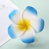 Multi-Especificación Transfronteriza 4/5/6/7/9 Flor Decorativa Flor de Frangipani Pasador de Cabello de Frangipani Viaje Vacaciones Pollo