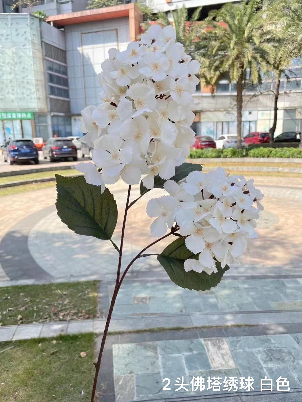 微信图片_20220625111606