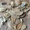 Envío Gratis 30 Piñas Flores Secas Decorativas Hecho a Mano Paquete de Materiales Creativos DIY Decoración del Hogar Ramas Secas Piñas Escama de Pez