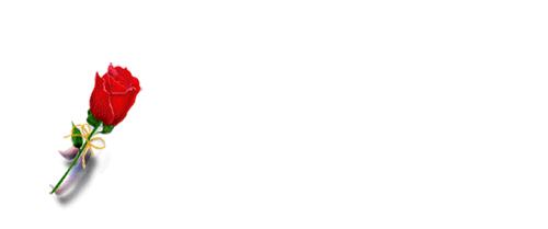 T2krkWXiNXXXXXXXXX_!!875811943