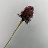 Flor artificial, 3 bolas de cebolla, flor falsa, decoración del hogar, diente de león, fruta, planta de interior, material para arreglos florales, plástico, frijol adzuki, fruta