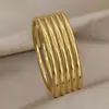 Pulsera Minimalista de Acero de Titanio 3mm en Espiral Lisa para Mujer, Tendencia en Tiktok, Estilo Fresco, Alambre Redondo Delgado, No se Desvanece, Chapado en Oro de 18K