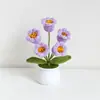 Día del Maestro Maceta Tejida Flor Artificial Acabados Adornos Decoración Hogar Amigos Mejor Amigo Regalos Regalo Flores en Maceta