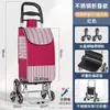 Carrinho Pequeno para Compras de Supermercado para Uso Doméstico Grande Capacidade Portátil Dobrável Carrinho de Compras Subir Escadas Rodas de Cristal Resistente ao Desgaste Aço Inoxidável Carrinho Pequeno