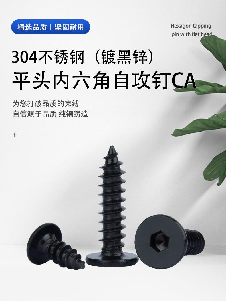 304黑色-CA平头内六角自攻钉_01.jpg