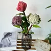 Decoração de Casa Retro Escandinava Flor Artificial Processo de Feltro à Mão Material de Seda de Fruta Sakyamuni Flor Artificial Decoração de Mesa