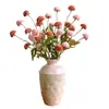 Color de otoño 5 cabezas de pompón diente de león flor artificial ramo de flores secas exhibición de flores falsas decoración mesa de comedor arreglo floral cross-border dropshipping