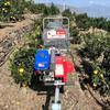 Camión de transporte monorraíl de montaña multifuncional para escalada agrícola de huerto de montaña, carga y descarga de tractor de transporte de escalada