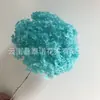 Flor Preservada Haste Única Hortênsia Anna Anna Folha Pequena Bella 40 Cores Personalizado Atacado Presente Dia dos Professores