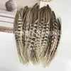 Ninho de galinha direto da fábrica pena de ninho de frango pena de ninho de faisão macho pena de ninho de faisão natural faisão DIY decoração de pena colorida