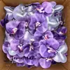 Cabeça de Flor de Orquídea Phalaenopsis Artificial, Textura de Película Impressa em 3D, Buquê Exquisito para Decoração de Casamento e Lembrança