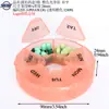 Caixa de Armazenamento de Instrumento de Beleza para Dentes, Caixa de Limpeza de Aparelhos de Camada Dupla, Caixa Portátil de Armazenamento de Aparelhos com Espelho, Caixa para Deixar Alinhadores de Implante de Moldeira