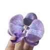 Nuevo Pasador de Pelo con Borla Floral Estilo Chino Accesorio para el Cabello Pinza Lateral Pasador de Pelo Festivo Estilo Antiguo Hanfu Adorno para la Cabeza Delicado como un Hada