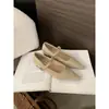 Sapatos Femininos Elegantes Bico Fino Estilo Francês Salto Baixo 2025 Novo Salto Bloco Boca Rasa Versátil Tira Única Sapatos Mary Jane