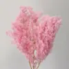 Venta al por mayor de Flores de Pino Inmortalizadas para Flores Secas Transfronterizas, Productos Florales DIY, Ramos, Decoración del Hogar, Arreglos Florales con Flores Reales, Yunnan