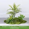 [Cena de Empilhamento Estilo Três Caracteres] Paisagem de Flores e Grama, Plantas Verdes, Plantas Artificiais, Musgo Decorativo, Móveis de Interior de Luxo Acessível
