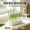 Caja de cultivo hidropónico sin tierra para balcón en casa para cultivar cebolletas, cilantro, ajo y verduras, caja de almacenamiento para cultivo de plántulas en casa