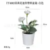 Mini maceta de plástico artificial hecha a medida para escritorio, regalo transfronterizo, hierba de cobre Pu, planta verde, crisantemo silvestre, flor artificial, bonsái de simulación
