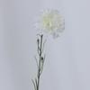 Clavel Artificial de Tallo Único Regalo del Día de la Madre Flor Conservada Clavel Comercio Exterior Flor Artificial al por Mayor