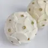 Personalizar Bolas de Tongcao Naturais Quentes de Venda Transfronteiriça, Bolas Mastigáveis Comestíveis Naturais para Animais de Estimação Pequenos, Artesanato de Frutas Secas Naturais