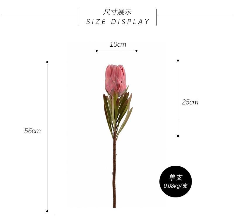 尺寸展示.jpg