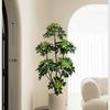 Planta de Simulación Madera Pie de Pato de Pie en Maceta Planta Verde Biónica Adornos Sala de Estar Lado del Sofá Decoración del Hogar Bonsái Árbol Falso