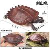 Ornamento de Tartaruga Anfíbia Réptil para Simulação Cognitiva Infantil Tartaruga Chinesa Tartaruga Brasileira Modelo Real de Tartaruga Crocodilo Brinquedo
