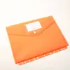 Bolsa de Archivo Transparente de Color con Cierre A4 Etiqueta Bolsa de Archivo Estéreo Bolsa de Plástico Impermeable Bolsa de Archivo para Almacenamiento de Datos de Contratos
