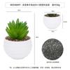 En existencia Simulación de dedos carnosos de bergamota Planta en maceta Decoración de escritorio Regalo Mini planta verde Bonsai TEMU Planta de simulación