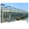 Proyecto de Invernadero de Cristal Estilo Venlo, Invernadero Inteligente de Múltiples Vanos para Vivero de Flores, Procesamiento y Construcción de Estructura Galvanizada en Caliente