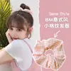Scrunchie da Moda Estilo Coreano para Mulheres, Elástico de Cabelo Simples de Verão, Faixa de Cabelo Jk, Acessório de Cabelo Intestino de Porco de Celebridade da Internet Coreana, Elástico