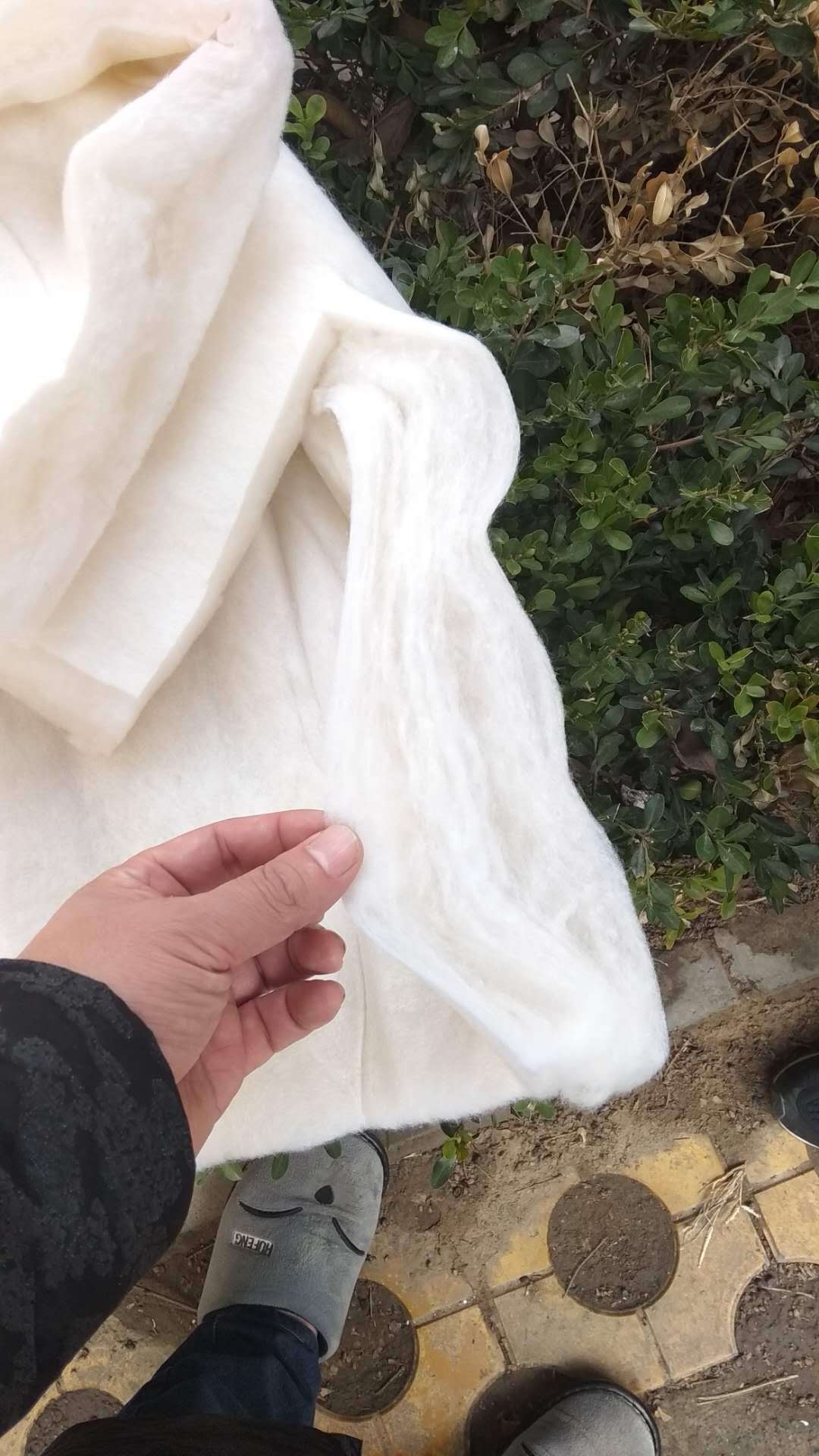 微信图片_2019022116043936
