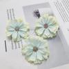 Simulación Cabeza de crisantemo Mori DIY Pared de flores para boda Pintura al óleo decorativa Flor estrella Flor Gesang Flor de simulación Venta al por mayor de flores