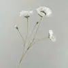 Flor artificial aveludada, papoula de haste única, flor falsa, material decorativo para cerimônia de casamento e decoração de local, decoração macia combinando com buquê