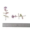 Plantas Simuladas, Plantas Acuáticas, Flores, Bolas Solares, Flores Simuladas, Flores Falsas de Plástico, Accesorios para Plantas Acuáticas, Decoración del Hogar, Arreglos Florales para Bodas