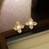 Brincos de Flor de Luxo Leve Estilo Coreano com Tarraxas de Prata 925, Design Microincrustado de Zircônia Feminino, Nicho de Luxo Leve, Simples e Versátil