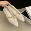 Sapatos peludos de bico fino para mulheres, calçados de outono e inverno, novos sapatos rasos de fada estilo francês para mulheres, forrados com fleece