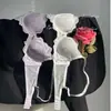 Lencería fina de mujer estilo francés para bustos grandes para que parezcan más pequeños, nuevo conjunto de sujetador sexy de encaje anti-flacidez puro deseo 2026