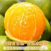 Laranja-Rochedo de Casca Verde Autêntica de Yunnan da Montanha Ailao, Fruta Fresca da Estação 3/5/ 4,5kg Colhida na Hora, Casca Fina, Suculenta e Doce
