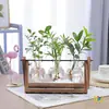 Jarrón de cristal creativo para arreglos florales de sala de estar, recipiente hidropónico transparente simple para plantas pequeñas, maceta de boca estrecha