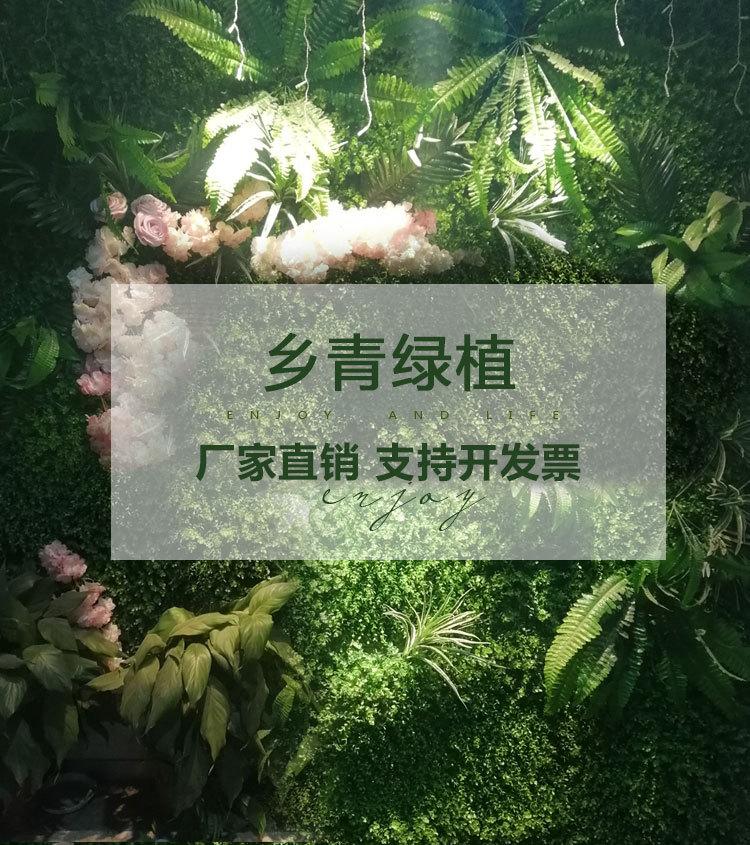 详情PSD_01.jpg