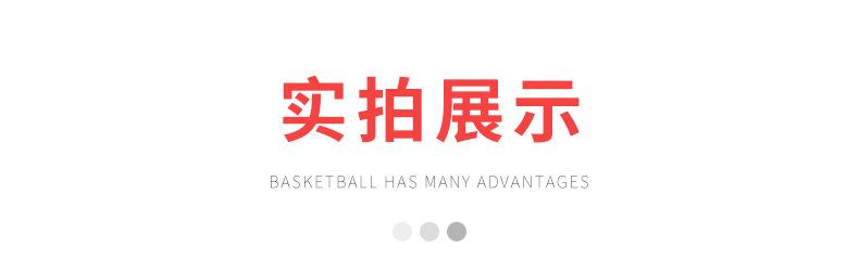 篮球架-拷贝_12.jpg