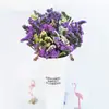 Directamente de Yunnan Nomeolvides Gypsophila Flores Reales Semisecas Secadas al Aire Naturalmente Flores Conservadas Regalo Adorno para Sala de Estar Mesa de Comedor