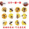 Abeja Colmena Transfronteriza Personalidad Gema del Tiempo Cristal Vidrio Suave Magnético Pegatinas de Refrigerador Pegatinas Decorativas