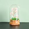 Cristal natural original con cubierta de vidrio, micropaisaje, árbol de cristal, regalo científico popular para niños, adornos de decoración para el hogar.