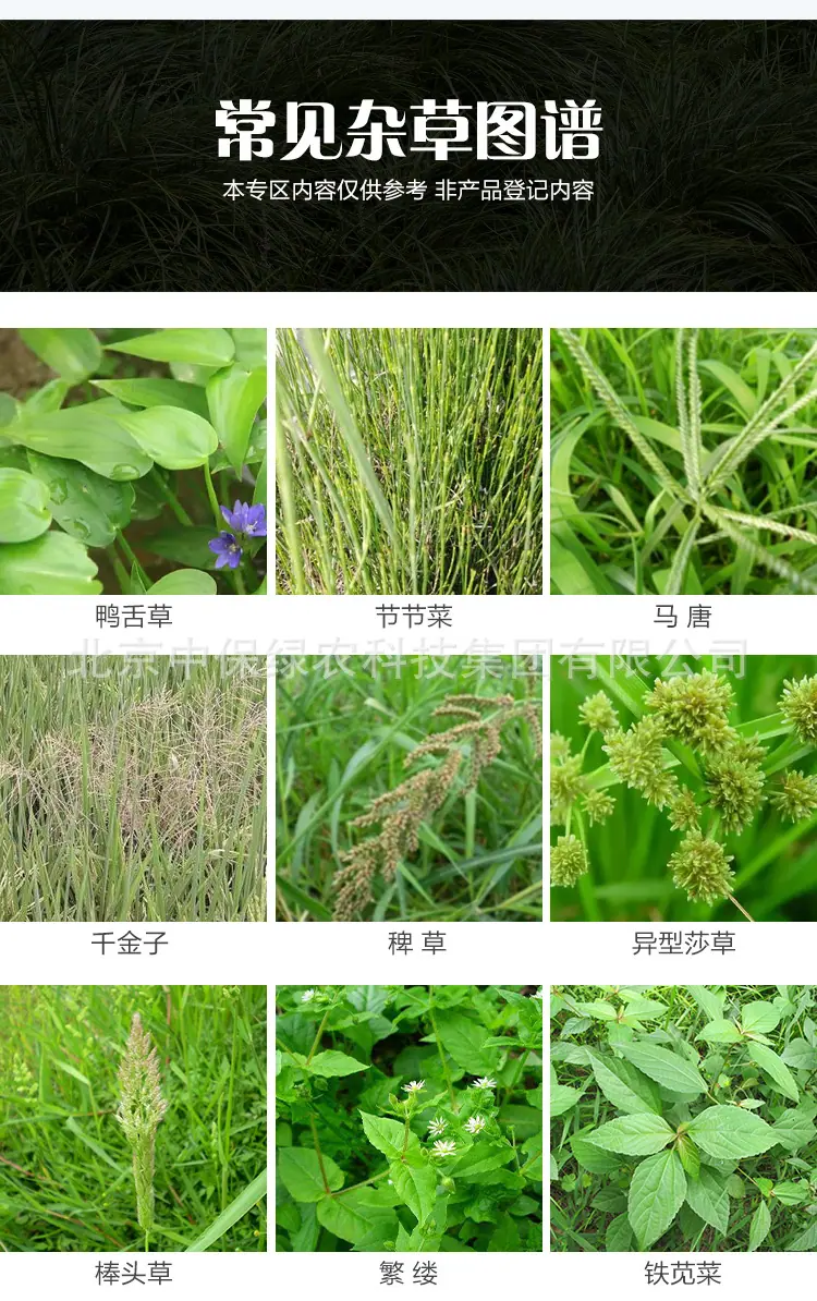 747草甘膦详情_06.jpg