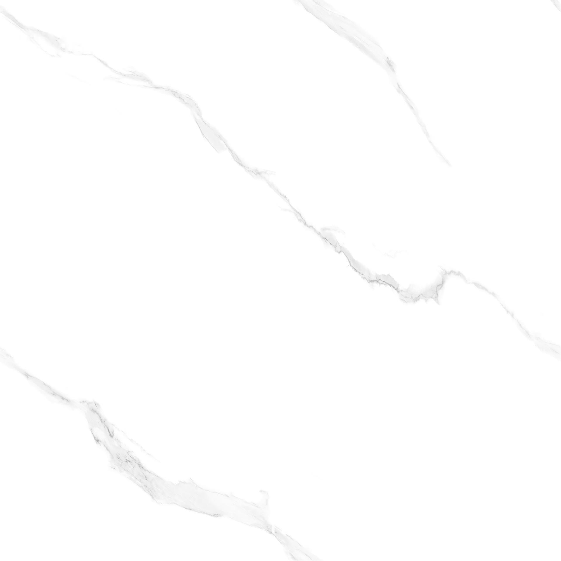 TM80937 .jpg