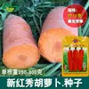 Nuevas Semillas de Zanahoria Show Roja Campo de Cultivo Coloridas Dulces Crujientes Fruta Dulce Semillas de Zanahoria Roja