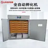 Incubadora Comercial Grande Personalizada Incubadora de Ovos de Frango Totalmente Automática Incubadora de Ovos Inteligente Suprimento Transfronteiriço Dropshipping Frete Grátis